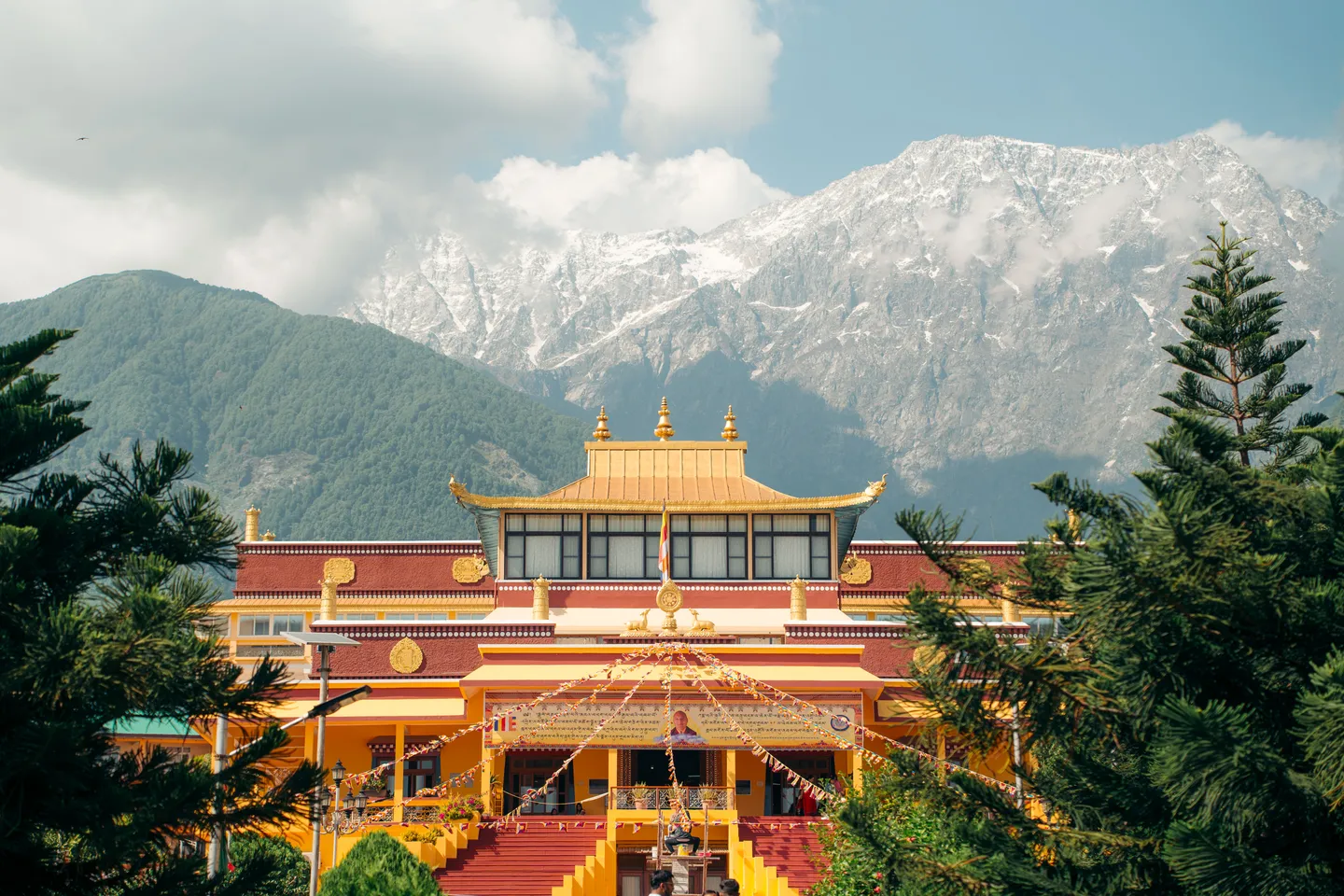 Tibetan monastery among pine trees in Dharamshala with the snowy Himalayas behind it