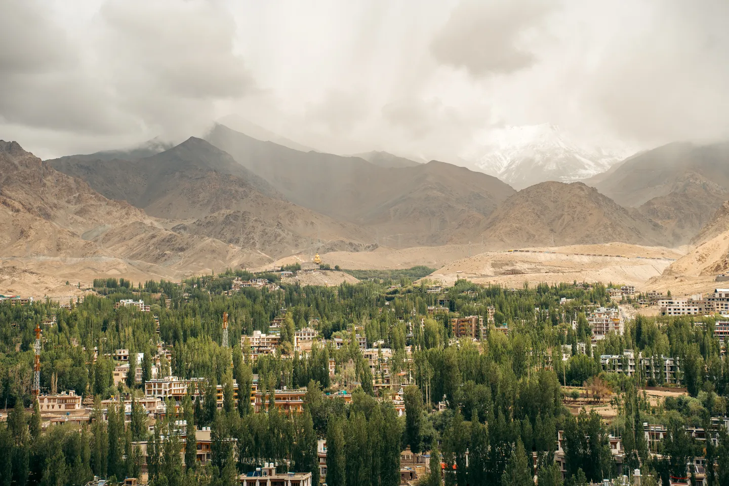 Green valley of Leh surrounded by dry Himalayan mountains in Ladakh